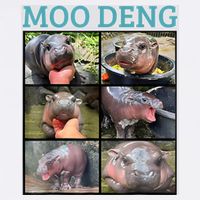 Moo Deng Picture Meme Funny Hippo Garment-Dyed Sweatshirt