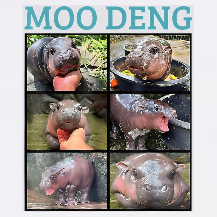 Moo Deng Picture Meme Funny Hippo Garment-Dyed Sweatshirt