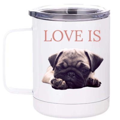 Mothers Day Pug Gift Pug Mom Life Love Dog 12 oz Stainless Steel Tumbler Cup