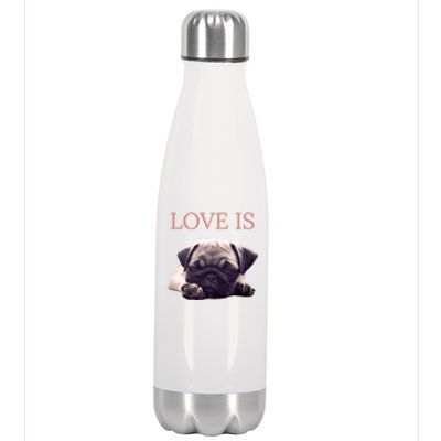 Mothers Day Pug Gift Pug Mom Life Love Dog Stainless Steel Insulated Water Bottle