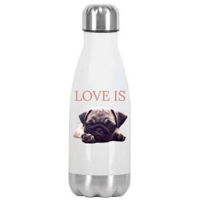 Mothers Day Pug Gift Pug Mom Life Love Dog Stainless Steel Insulated Water Bottle