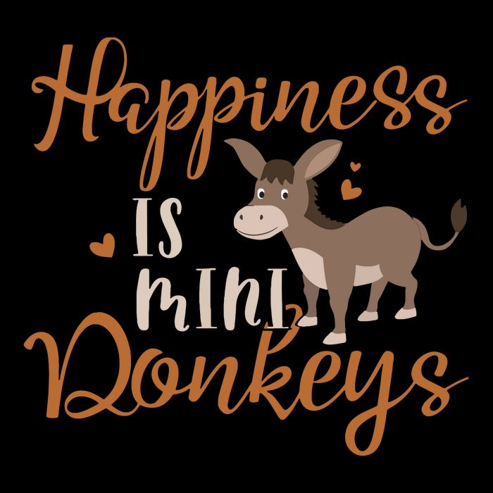Miniature Donkeys Rancher Farmer Mini Donkey Lover Gift Tall Hoodie