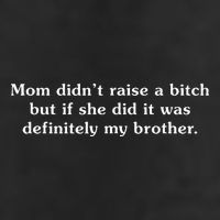 Mom DidnT Raise A Bitch But If She Did It Was My Brother 7 Panel Mesh Trucker Snapback Hat