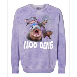 Moo Deng Space Hippo Colorblast Crewneck Sweatshirt