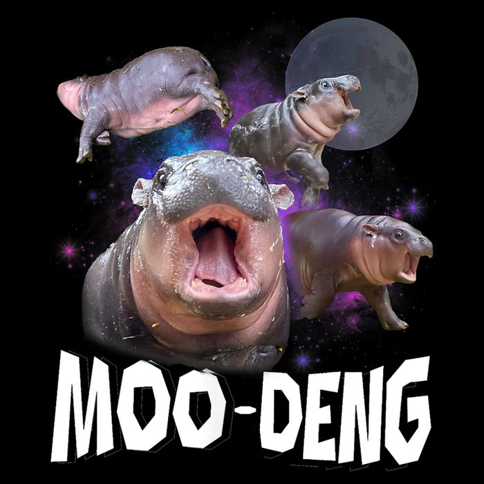 Moo Deng Space Hippo Flexfit Unipanel Trucker Cap