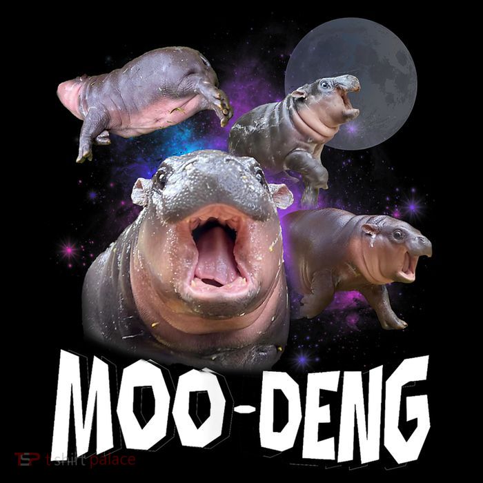 Moo Deng Space Hippo Poster