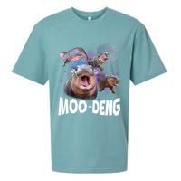 Moo Deng Space Hippo Sueded Cloud Jersey T-Shirt