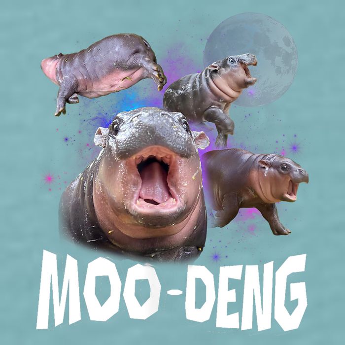 Moo Deng Space Hippo Sueded Cloud Jersey T-Shirt