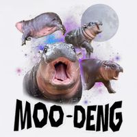Moo Deng Space Hippo Garment-Dyed Sweatshirt
