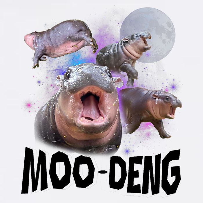 Moo Deng Space Hippo Garment-Dyed Sweatshirt