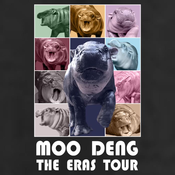 Moon Deng The Eras Tour Meme Hippo 7 Panel Mesh Trucker Snapback Hat