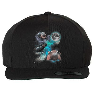 Moo Deng Three Moo Deng Moon Funny Hippo Wool Snapback Cap