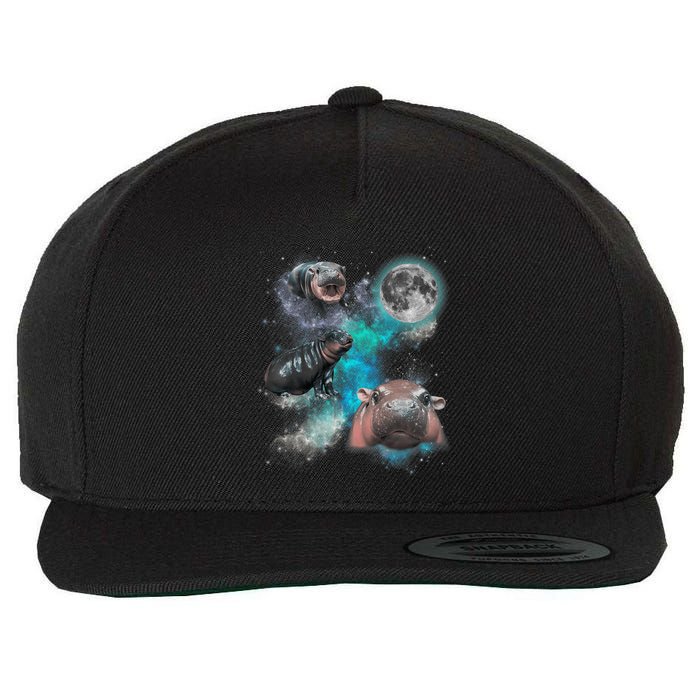 Moo Deng Three Moo Deng Moon Funny Hippo Wool Snapback Cap