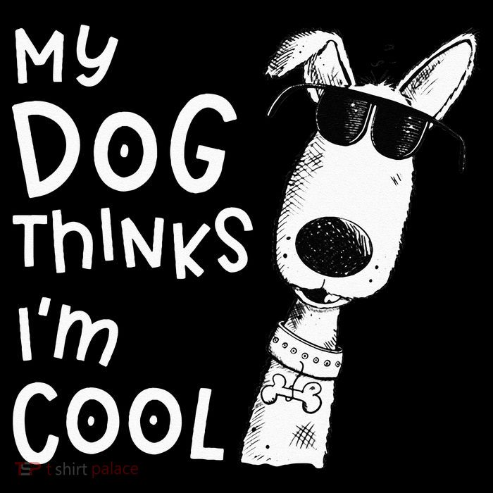 My Dog Thinks Im Cool For Dog Lover Flatbill Hat