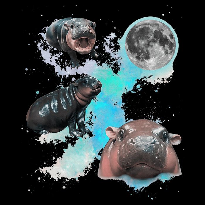 Moo Deng Three Moo Deng Moon Funny Hippo Baby Bodysuit