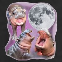 Moo Deng Three Moo Deng Moon Funny Hippo Cool Comfort Performance Bucket Hat
