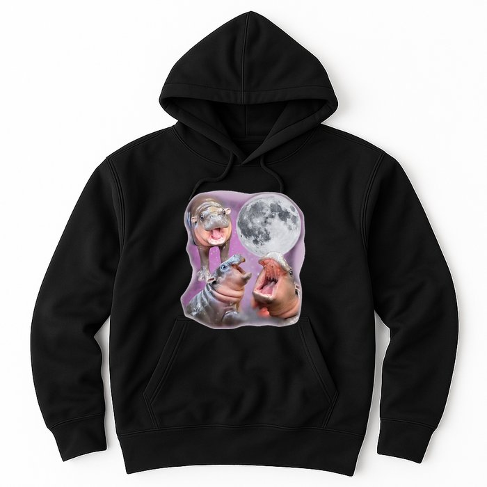 Moo Deng Three Moo Deng Moon Funny Hippo Hoodie
