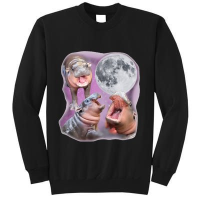 Moo Deng Three Moo Deng Moon Funny Hippo Sweatshirt