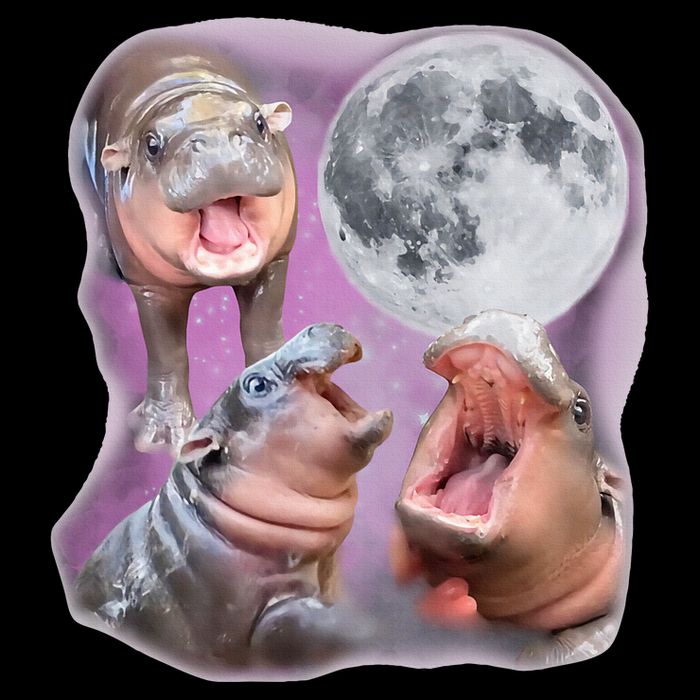 Moo Deng Three Moo Deng Moon Funny Hippo Flat Bill Trucker Hat