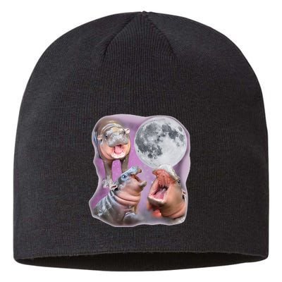 Moo Deng Three Moo Deng Moon Funny Hippo Sustainable Beanie