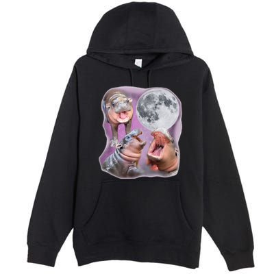 Moo Deng Three Moo Deng Moon Funny Hippo Premium Pullover Hoodie