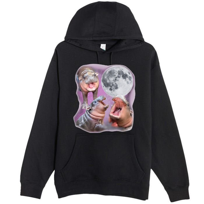 Moo Deng Three Moo Deng Moon Funny Hippo Premium Pullover Hoodie