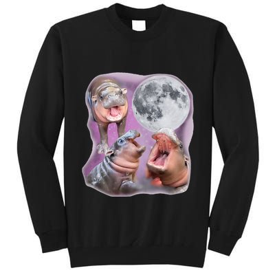 Moo Deng Three Moo Deng Moon Funny Hippo Tall Sweatshirt