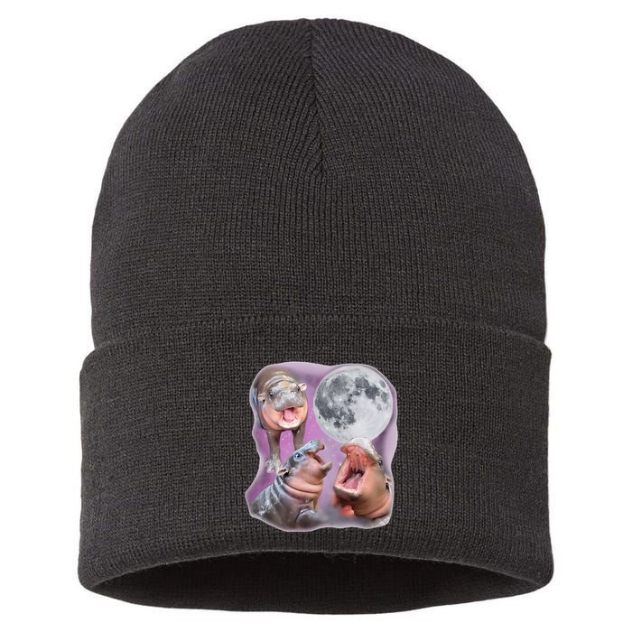 Moo Deng Three Moo Deng Moon Funny Hippo Sustainable Knit Beanie