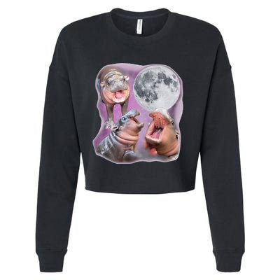 Moo Deng Three Moo Deng Moon Funny Hippo Cropped Pullover Crew