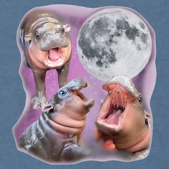 Moo Deng Three Moo Deng Moon Funny Hippo Garment-Dyed Sweatshirt