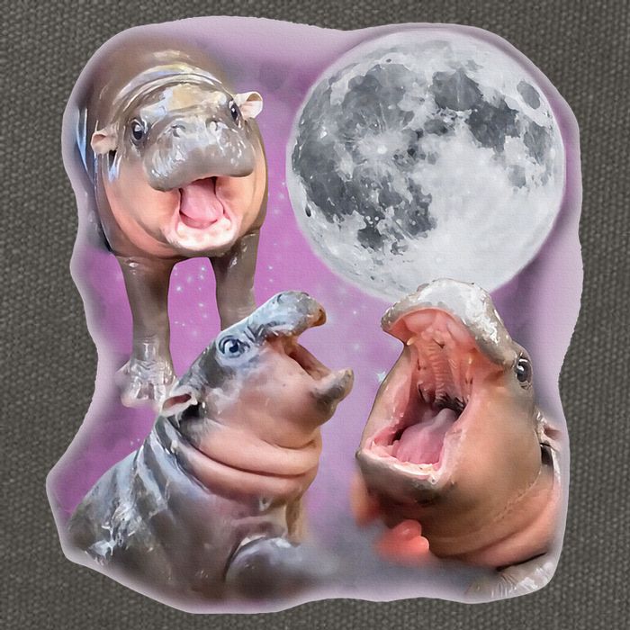 Moo Deng Three Moo Deng Moon Funny Hippo Cotton Canvas Backpack