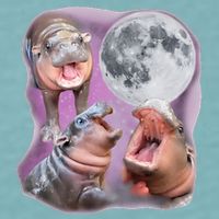 Moo Deng Three Moo Deng Moon Funny Hippo Sueded Cloud Jersey T-Shirt