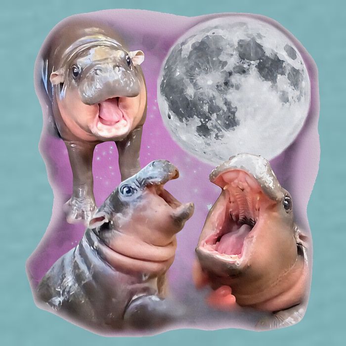 Moo Deng Three Moo Deng Moon Funny Hippo Sueded Cloud Jersey T-Shirt