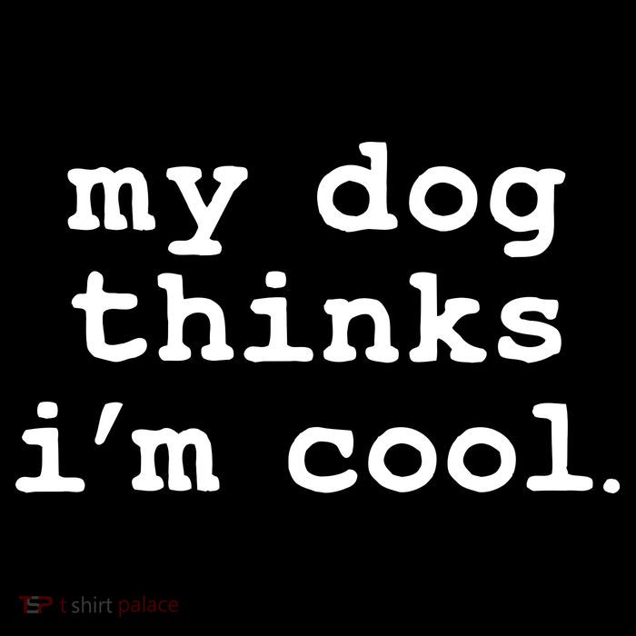 My Dog Thinks I'm Cool Funny Sweatshirt