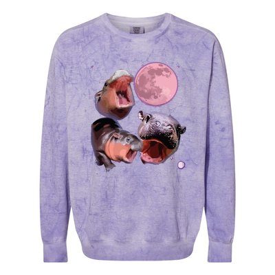 Moo Deng The Famous Baby Bouncy Pig Cute Baby Hippo Colorblast Crewneck Sweatshirt