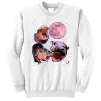 Moo Deng The Famous Baby Bouncy Pig Cute Baby Hippo Sweatshirt