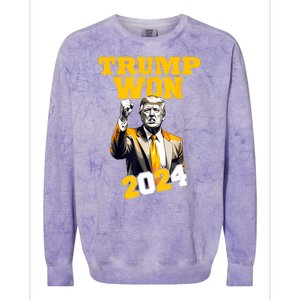 Man Donald Trump Won 2024 Election Inauguration Gift Colorblast Crewneck Sweatshirt