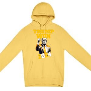 Man Donald Trump Won 2024 Election Inauguration Gift Premium Pullover Hoodie