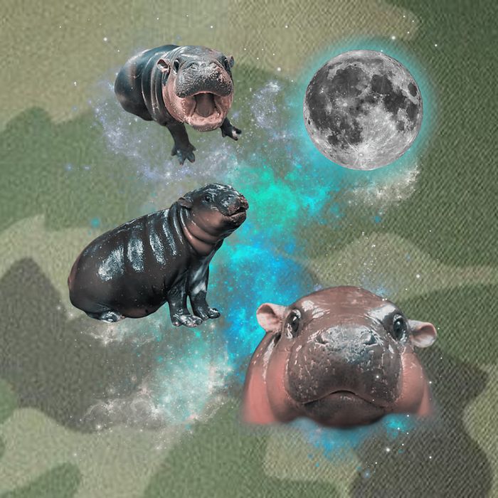 Moo Deng Three Moo Deng Moon Funny Hippo Universe Galaxy Legacy Tie Dye Trucker Hat