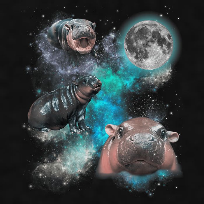 Moo Deng Three Moo Deng Moon Funny Hippo Universe Galaxy Ladies PosiCharge Tri-Blend Wicking Tank