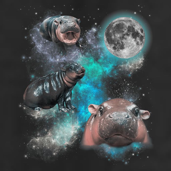 Moo Deng Three Moo Deng Moon Funny Hippo Universe Galaxy Trucker Hat