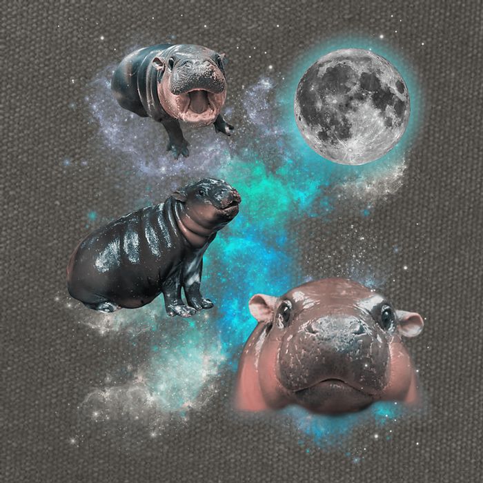 Moo Deng Three Moo Deng Moon Funny Hippo Universe Galaxy Cotton Canvas Backpack