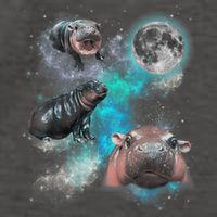 Moo Deng Three Moo Deng Moon Funny Hippo Universe Galaxy Vector Backpack