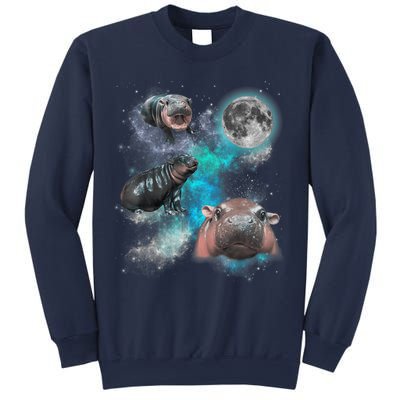 Moo Deng Three Moo Deng Moon Funny Hippo Universe Galaxy Sweatshirt