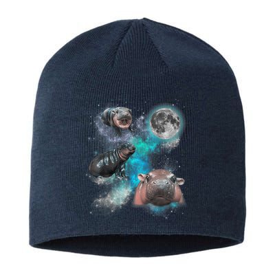 Moo Deng Three Moo Deng Moon Funny Hippo Universe Galaxy Sustainable Beanie