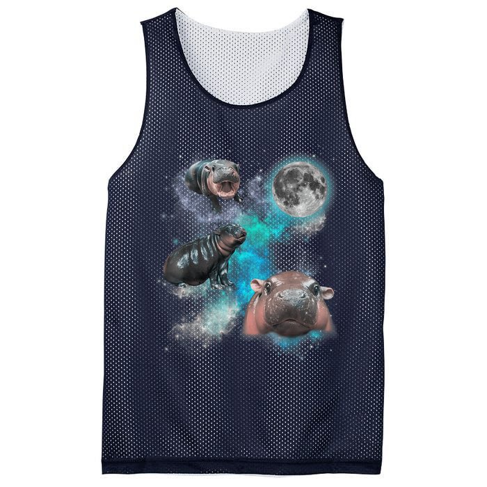 Moo Deng Three Moo Deng Moon Funny Hippo Universe Galaxy Mesh Reversible Basketball Jersey Tank