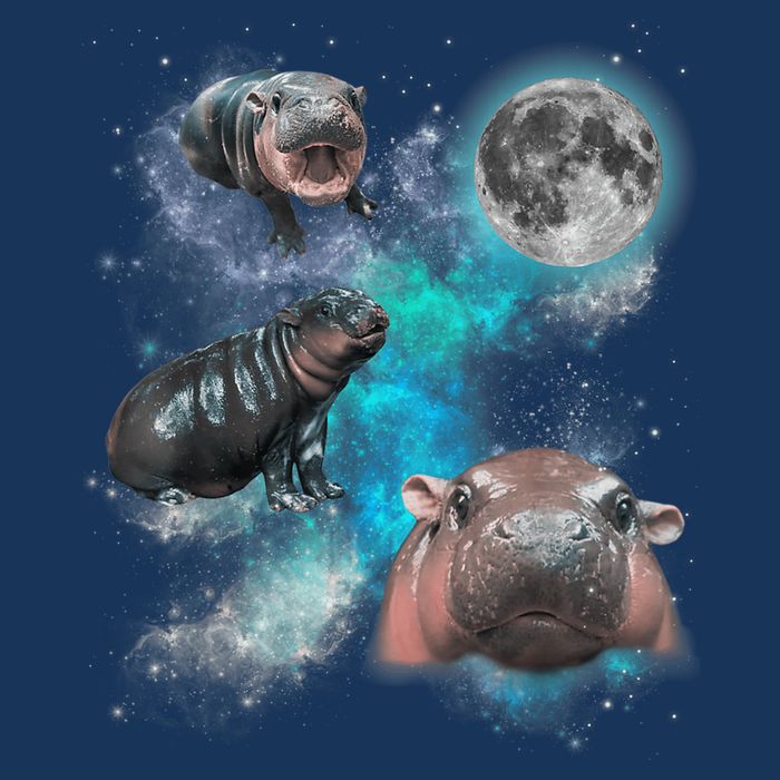 Moo Deng Three Moo Deng Moon Funny Hippo Universe Galaxy Mousepad
