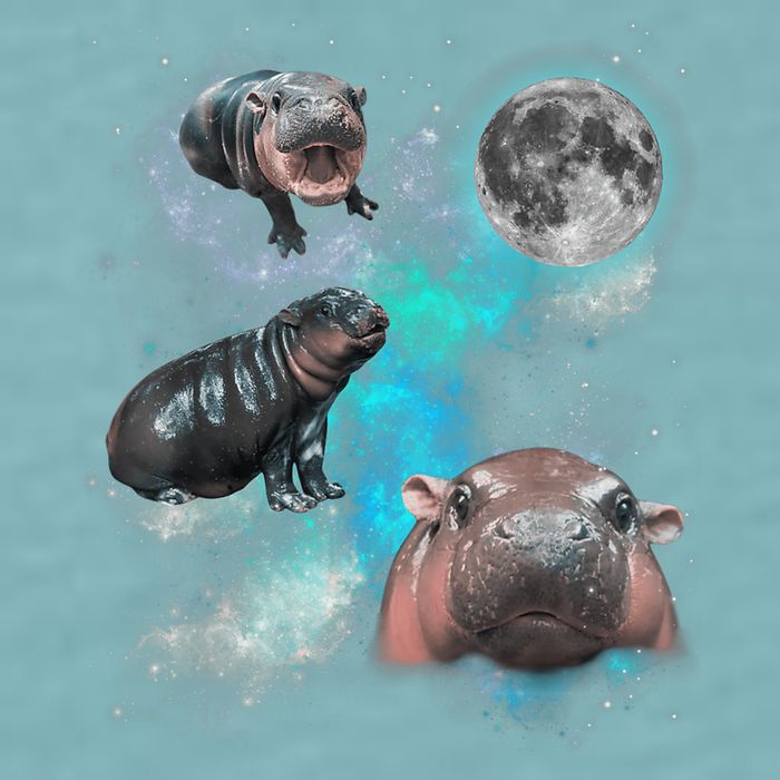 Moo Deng Three Moo Deng Moon Funny Hippo Universe Galaxy Sueded Cloud Jersey T-Shirt
