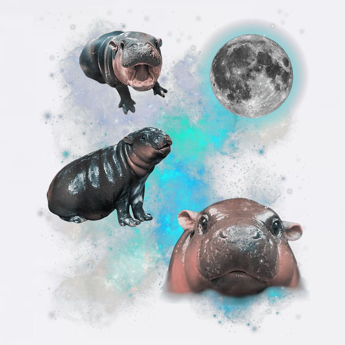 Moo Deng Three Moo Deng Moon Funny Hippo Universe Galaxy Garment-Dyed Sweatshirt
