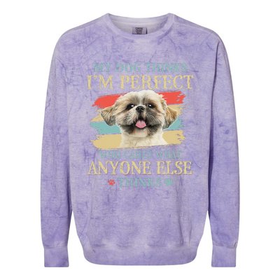 My Dog Thinks I'm Perfect Shih Tzu Puppy Face Shitzu Gifts Colorblast Crewneck Sweatshirt